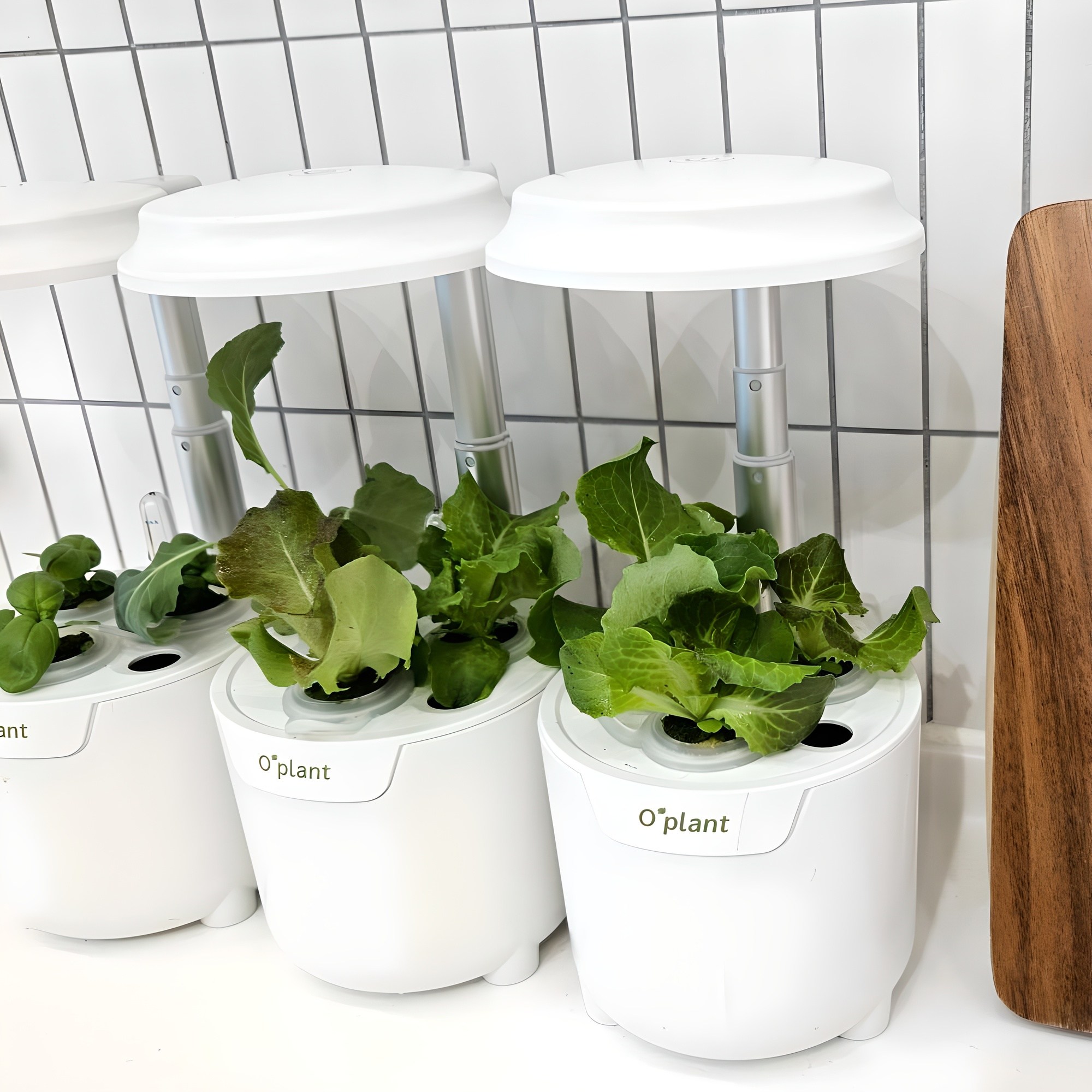 오플랜트 미니 가정용 식물 수경 재배기 37,300원