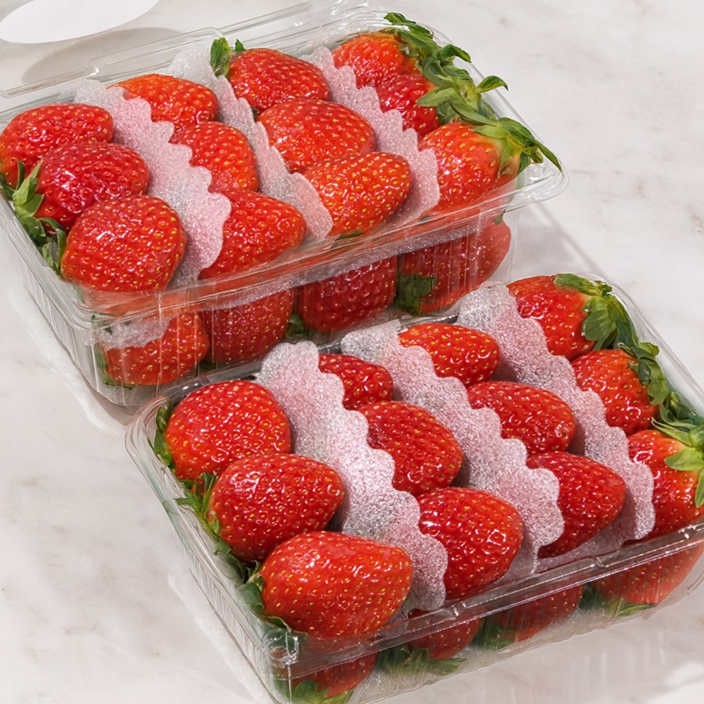 [산지직송] 고당도 설향 딸기 프리미엄 생 딸기, 1개, 딸기 (특대) 1kg(2팩) 16,900원