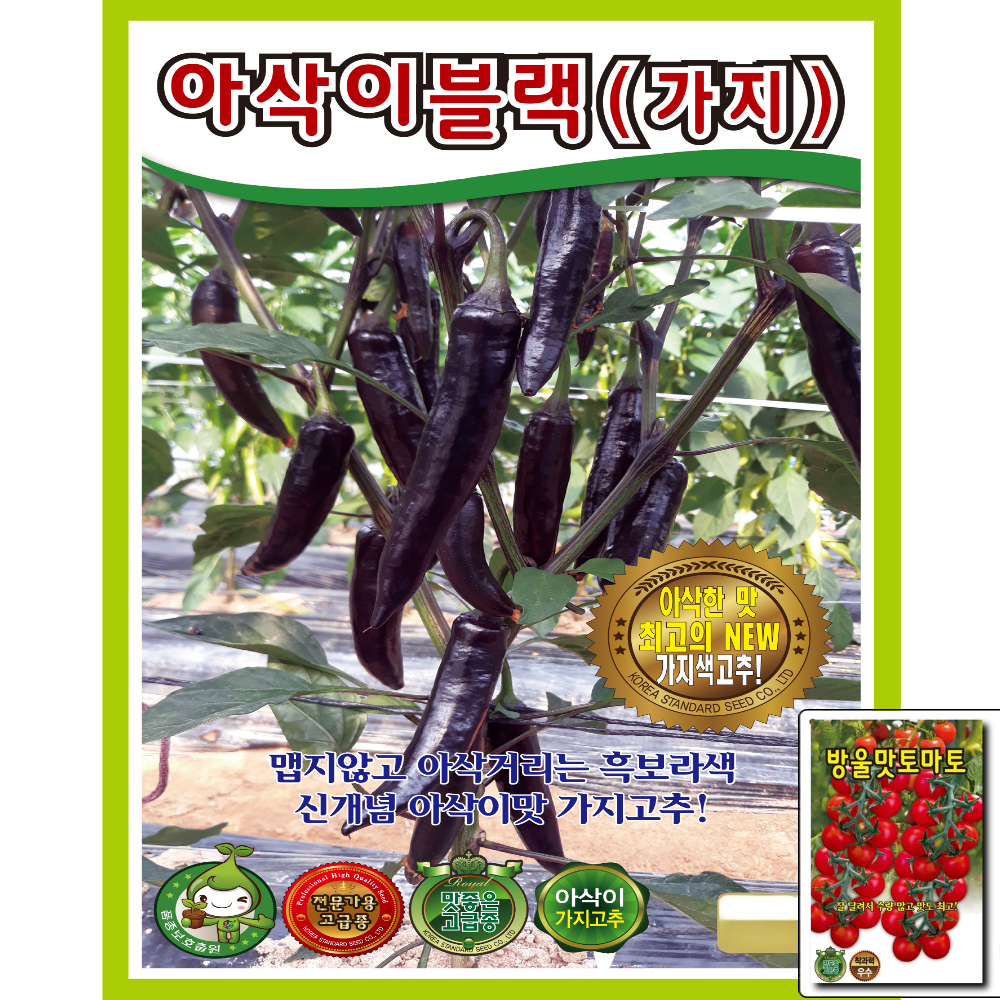 KS종묘 아삭이블랙 1000립 미인보라 보라 고추 아삭이 가지 안매운 맛있는 샐러드 KS, 1개 350,000원