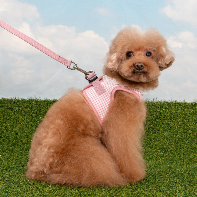 핑카홀릭 반려동물 다비 하네스 HB7863 28,450원