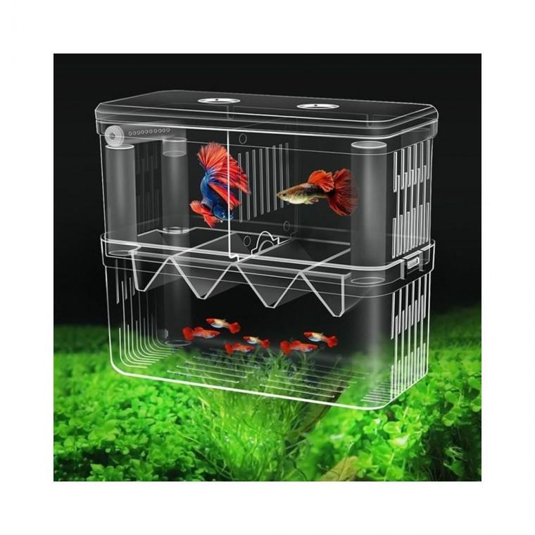 루미나D 열대어 구피 부화통 치어 격리통 대형 2칸 가정용 주방용 26,130원
