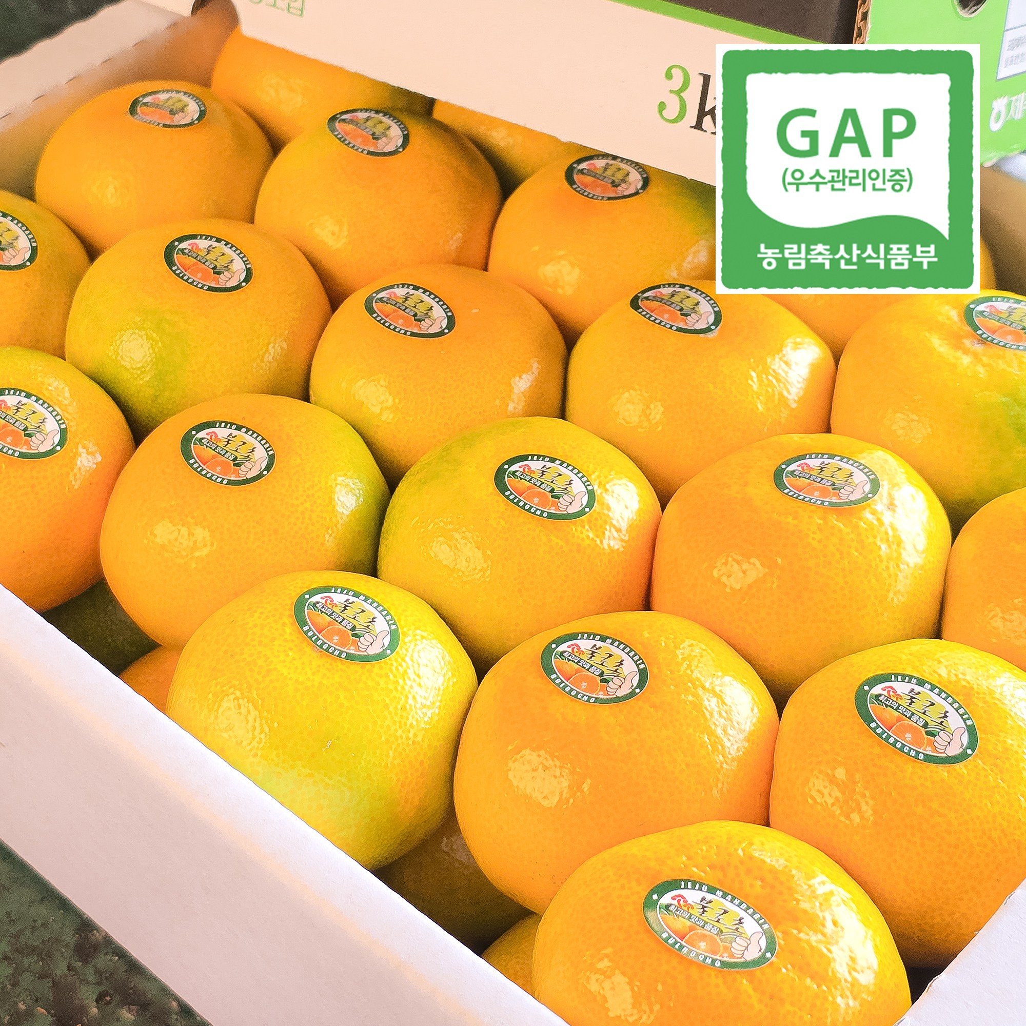 불로초 감귤 초고당도 명품 제주귤 [우월한농수산], 1개, 3kg 49,900원