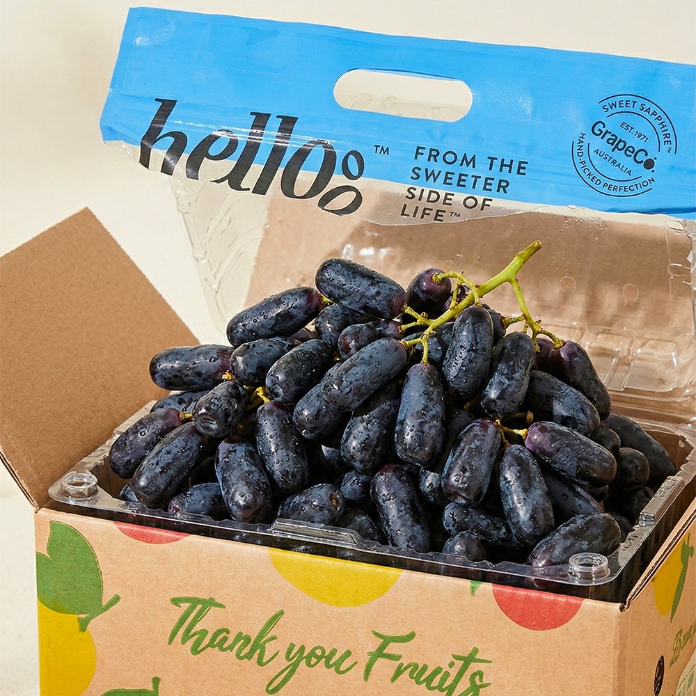 프리미엄 블랙사파이어 포도 고당도 가지포도, 3개, 1kg 49,800원