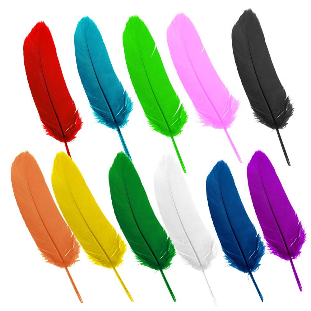 거위깃털(대) 칼라(약 50개) 혼합( 약 55개) 깃털 새깃털 칼라깃털 소품만들기 꾸미기재료, 거위깃털(대)-혼합, 1개 6,000원