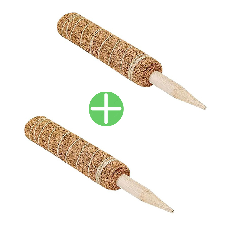 위브온 코코봉 2셋트 식물지지대 40cm 수태봉 화분 원예 6,550원