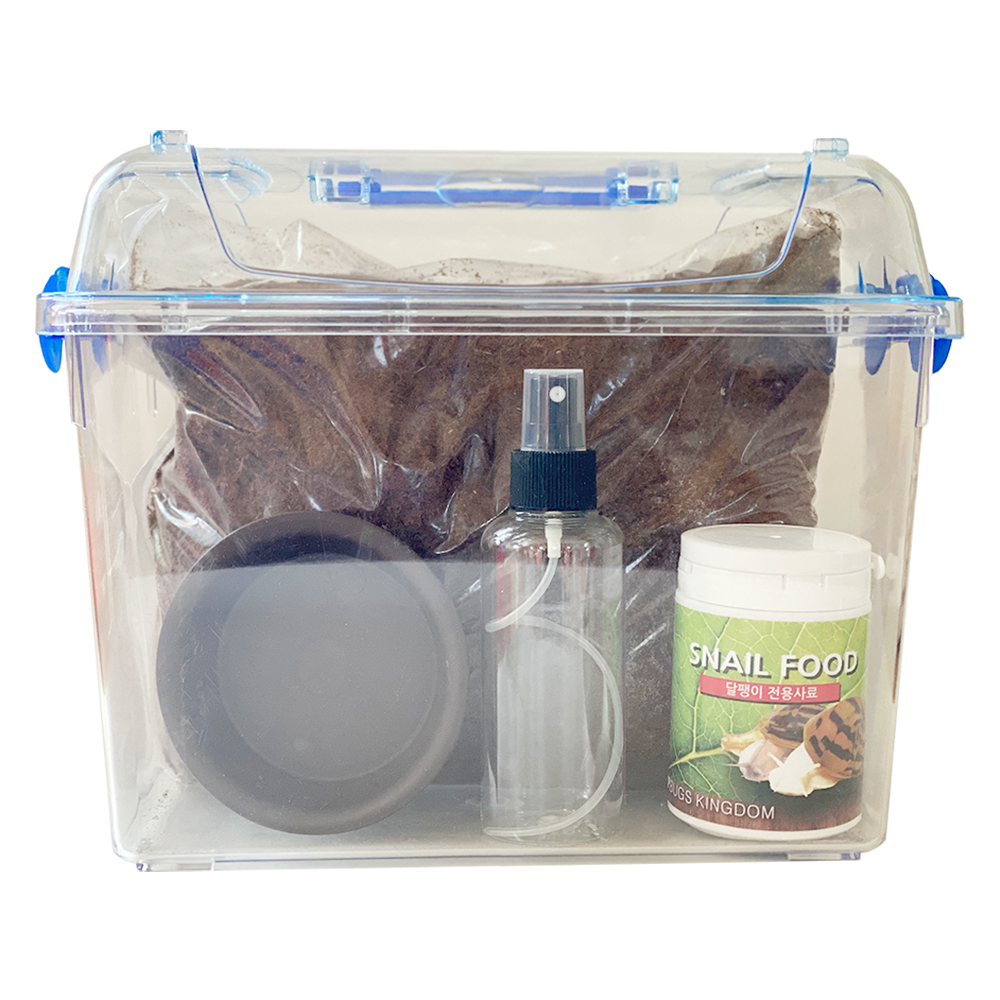 벅스프린스 달팽이키우기 세트 대형 25,200원