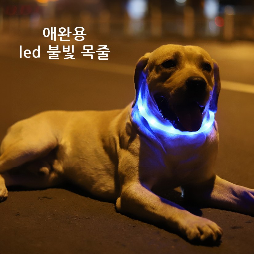 윈티크 애완용 사고 예방 LED 불빛 목줄 17,800원