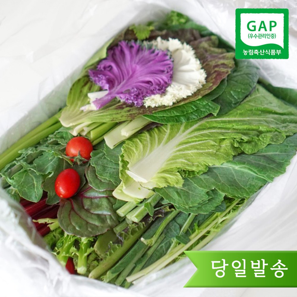 모듬채소 20종 클로렐라 쌈채소 상추 샐러드 유러피안 야채 600g-1.2kg 24,000원