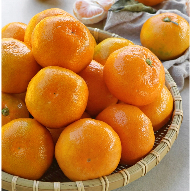 귤림원 제주직송 고당도 감귤 신선한 제철 과일 궁중에 진상되던 품위있는 고품질 감귤 72,900원