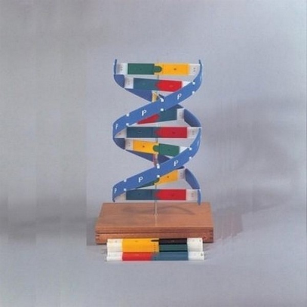 (사이언샵)NaRiKa나리카 DNA모델1형, 상세설명참조 1,539,000원