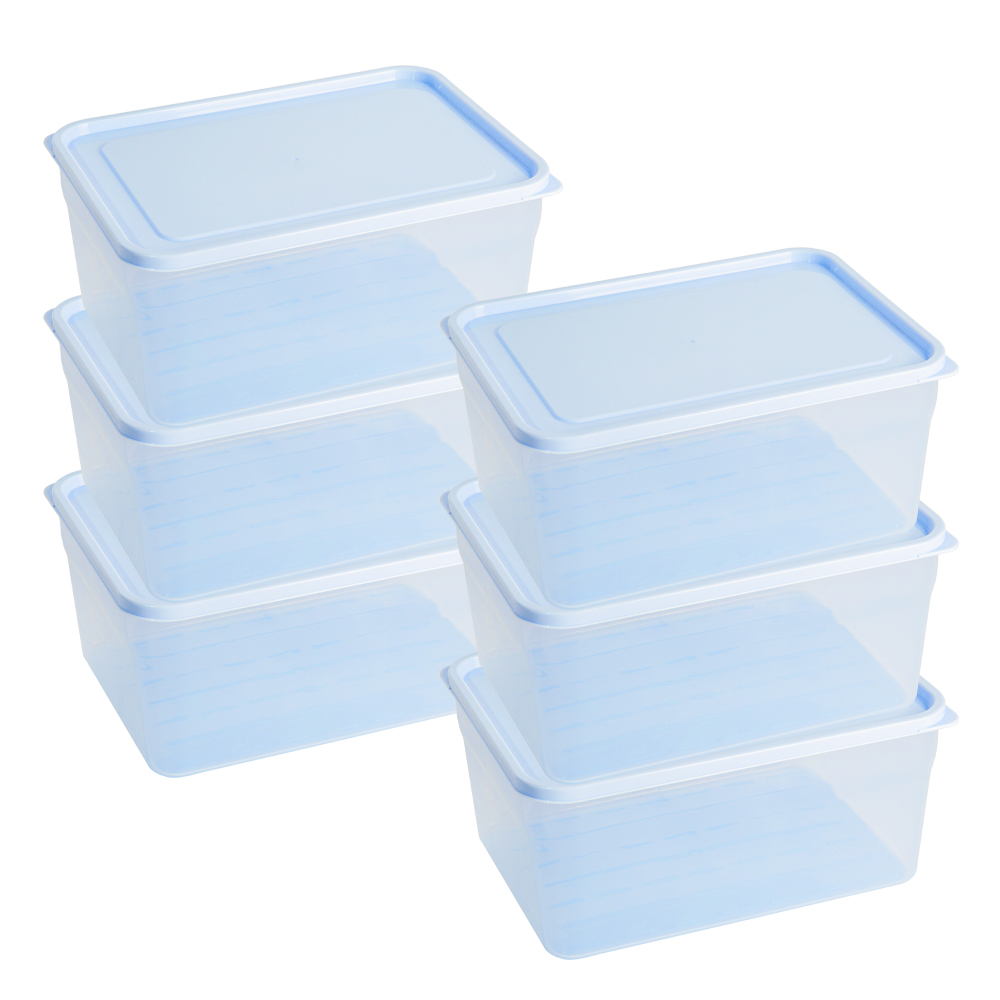 말랑핏 휘어지는 냉동실 정리용기 2700ml, 6개, 단품 18,800원