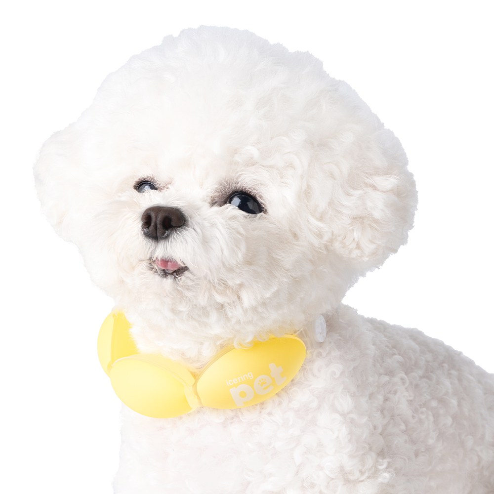 엠팩플러스 아이스링펫 넥쿨러 반려동물 넥쿨러 강아지 고양이 쿨스카프, 1개, 옐로우 15,800원