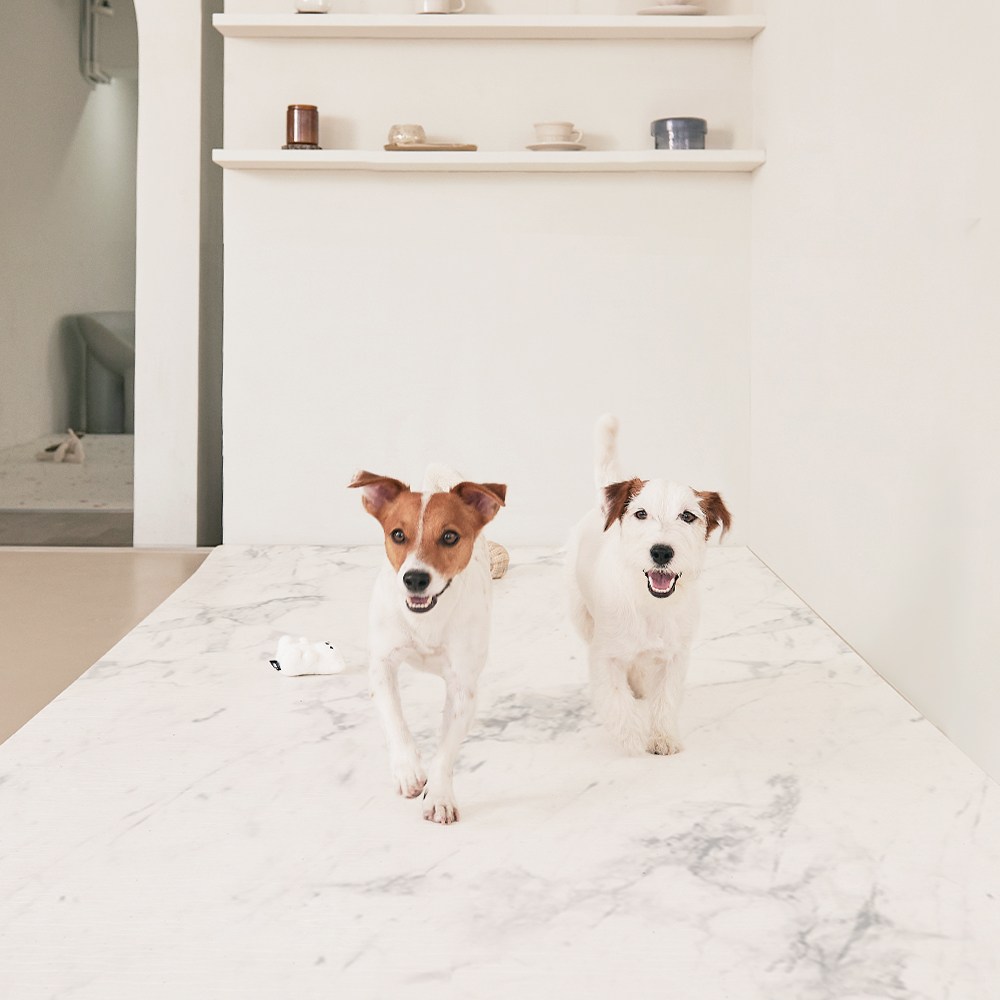 [리퍼] 우리집 어디든 OK 롤매트, 1개, 오렌지테라조 52,400원