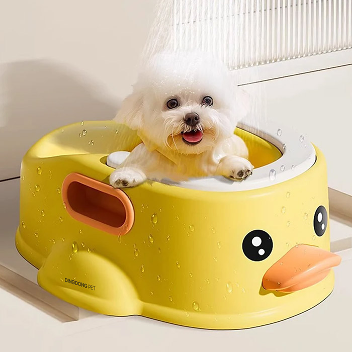 딩동펫 반려동물 오리 스파 욕조 11,500원