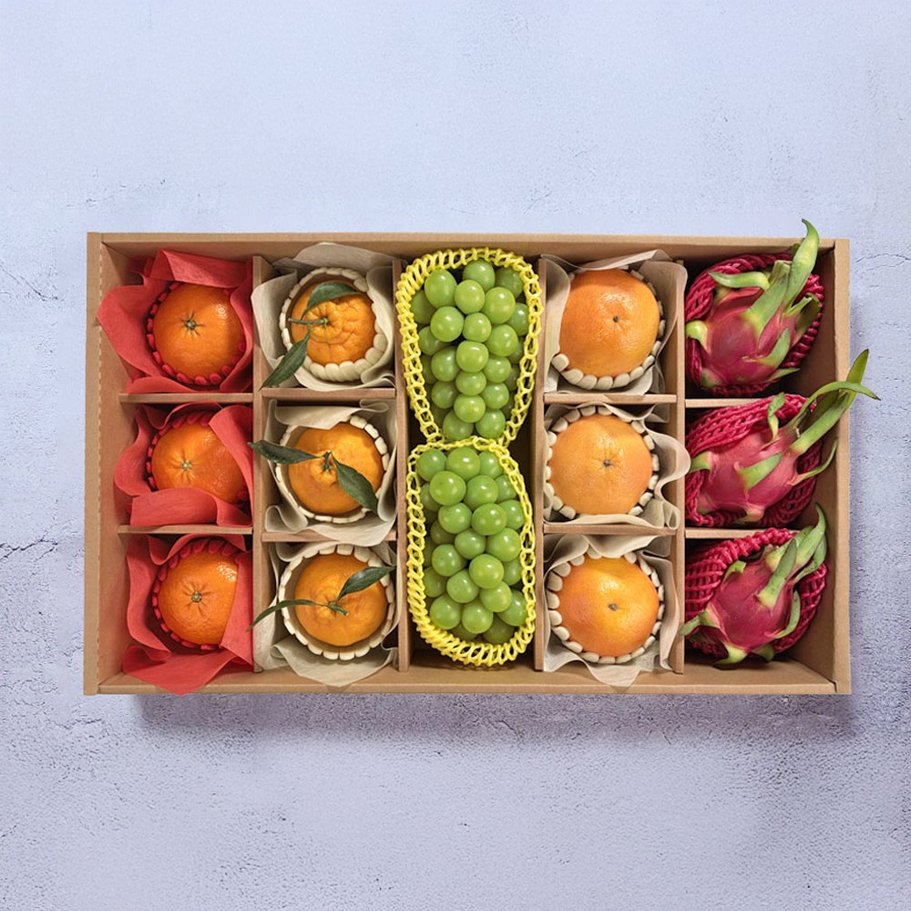 2026 설날 프리미엄 과일 선물세트 한라봉/레드향/샤인머스켓/자몽/용과 95,900원