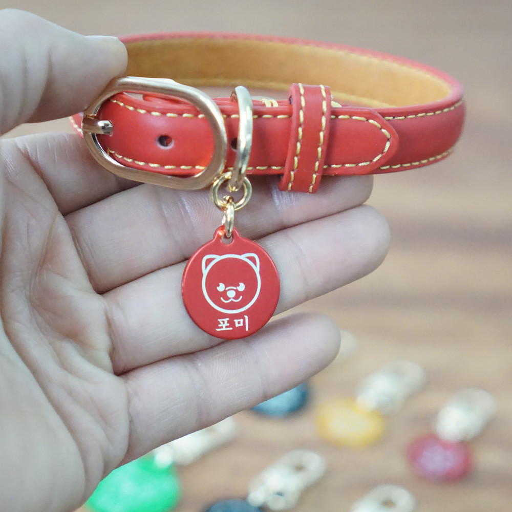 아미펫 캐릭터 일러스트 각인 컬러가죽 강아지목줄 인식표 12,900원