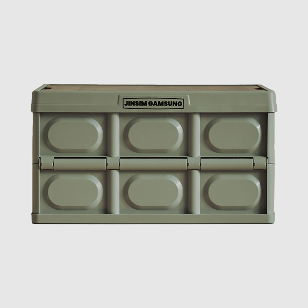 진심감성 다용도 수납 폴딩박스, 교토말차, 56L, 1개 15,400원