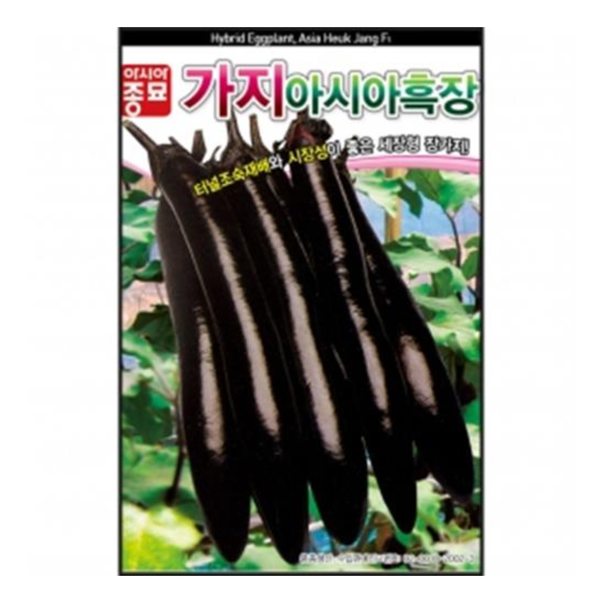 아시아종묘 씨앗 가지 아시아흑장 200립, 1개 2,730원