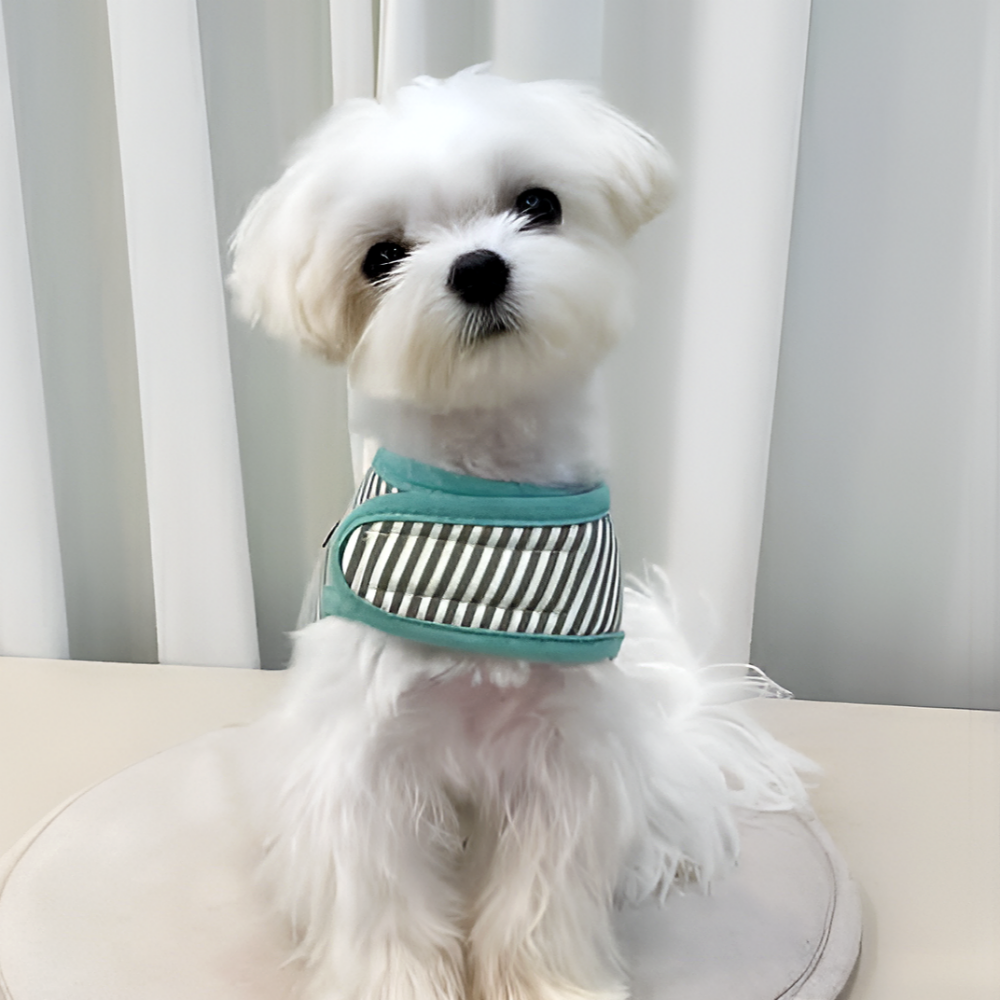 [스윗테일] 극내제조 핸드메이드 스트라이프 강아지하네스 18,900원