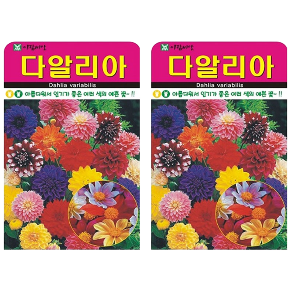 다알리아 꽃 씨앗 (합 200립) 꽃씨 종자, 2개 4,760원