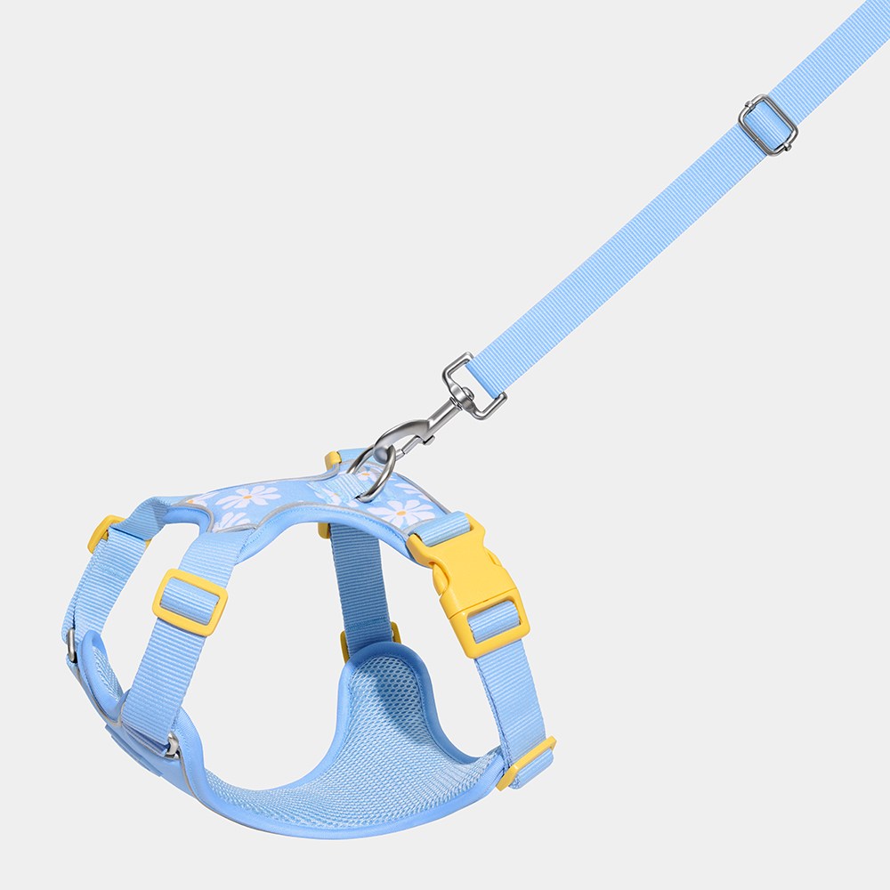 VETRESKA 데이지 펫 하네스 & 리드줄 세트, 1개, 데이지 펫 하네스 & 리드줄 세트 50,000원