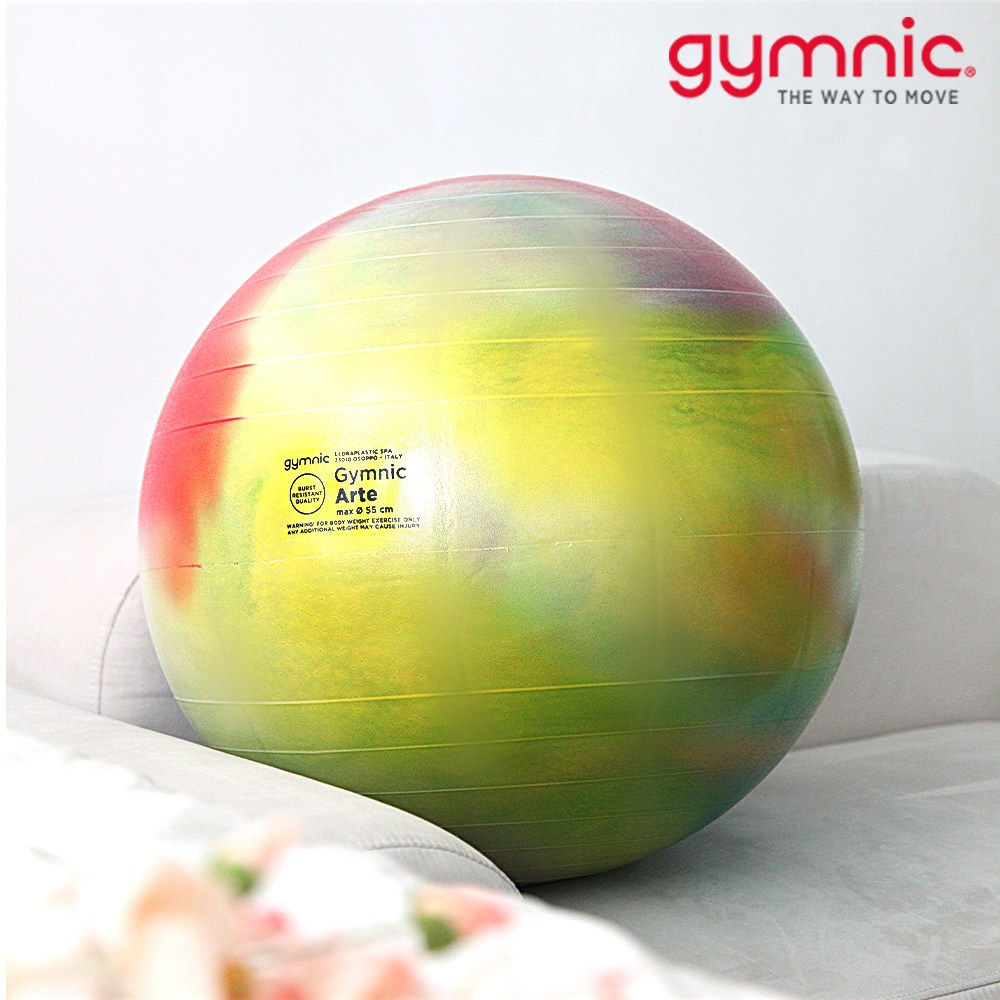 짐닉 아르떼 짐볼 55cm 65cm 75cm 60,000원