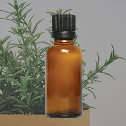 에센셜오일 - 로즈마리 Rosemary Essential Oil 2,200원