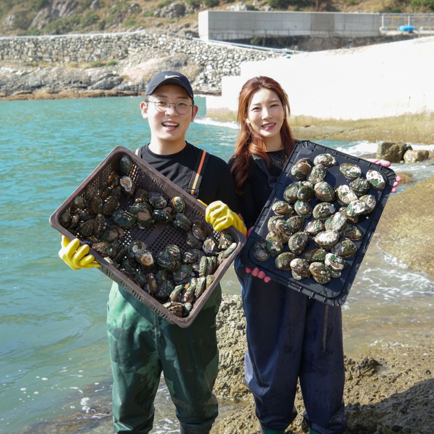 국산 완도 활전복 현지에서 잡아올린 싱싱한 전복 1kg 1.5kg 2kg, 1박스, 2kg - 7미 58,000원