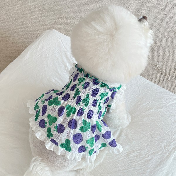 바이담수미 강아지 아쿠아 원피스 25,400원