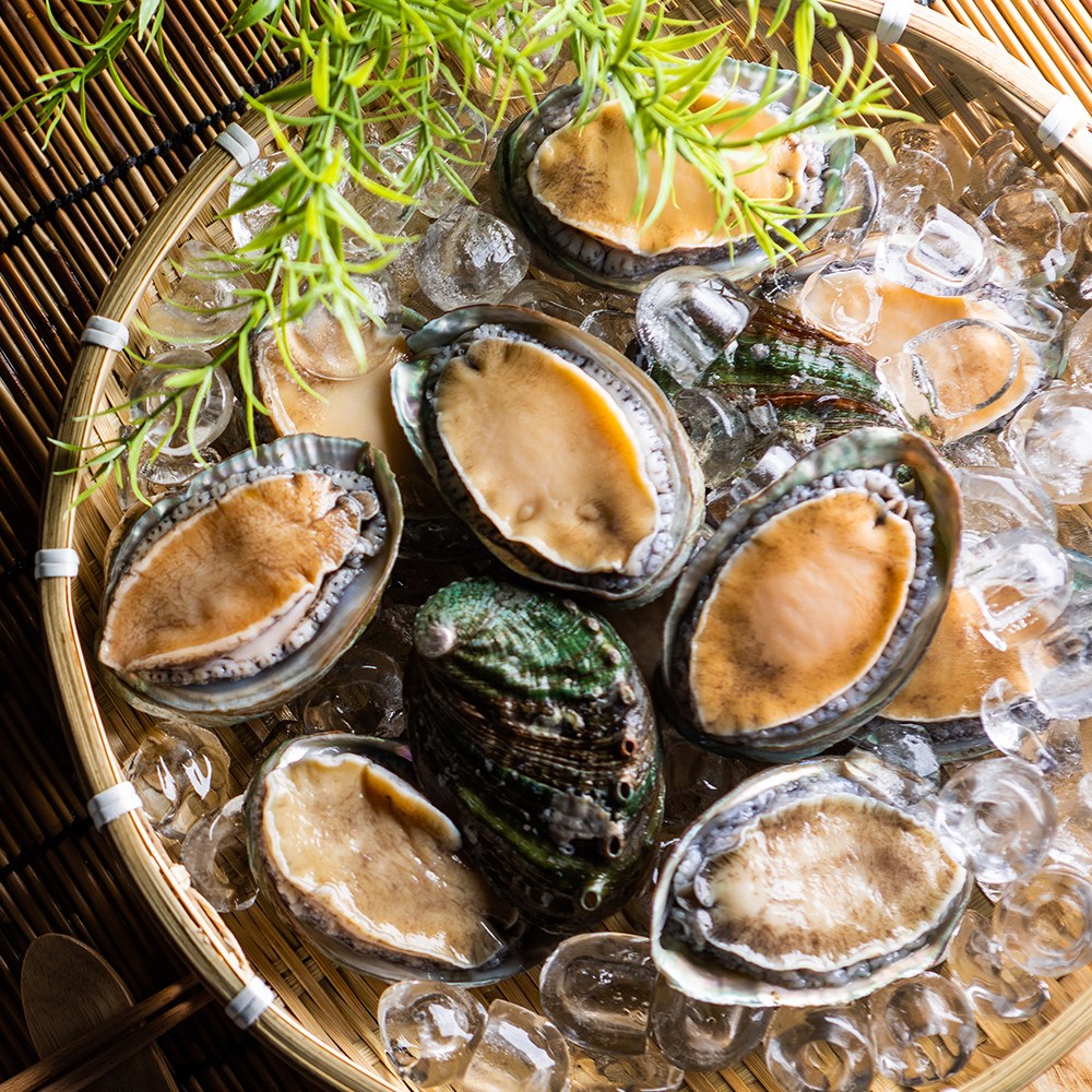 산소포장 완도 활 전복 1kg (특특대/4-6미), 1세트, 완도 활 전복 1kg (특특대/4-6미) 65,900원