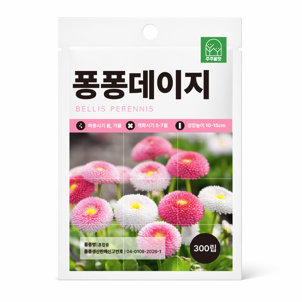 주주씨앗 키작은 데이지 씨앗 300립, 당년개화 잉글리시 데이지 혼합 종자, 1개 2,500원