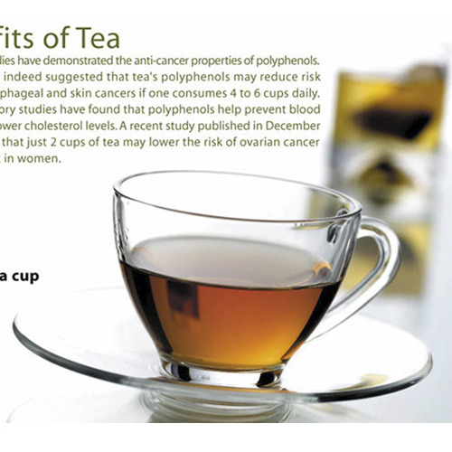 오션글라스 오션코스모티세트2조(컵2+받침2) 7,900원