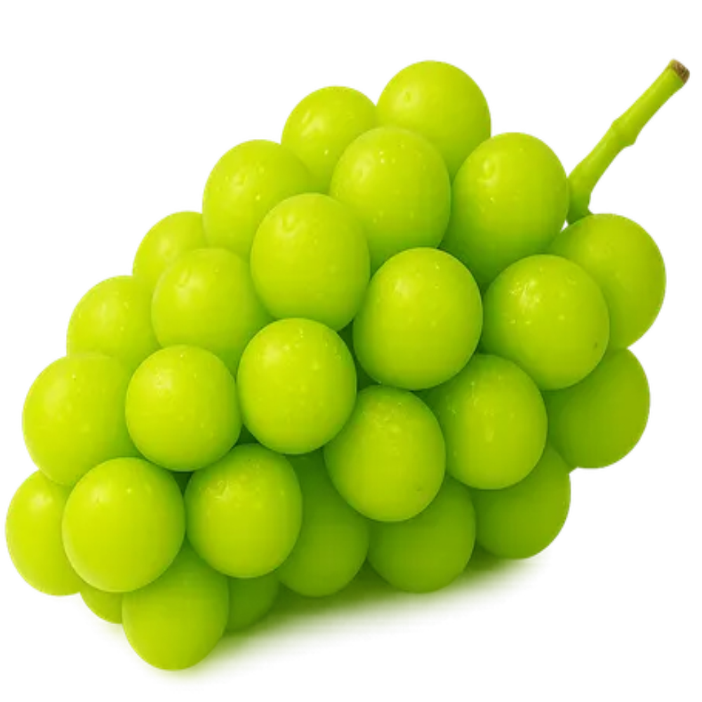 (별빛농장) 별빛 담은 고당도 샤인머스켓 프리미엄 선물포장 48,500원