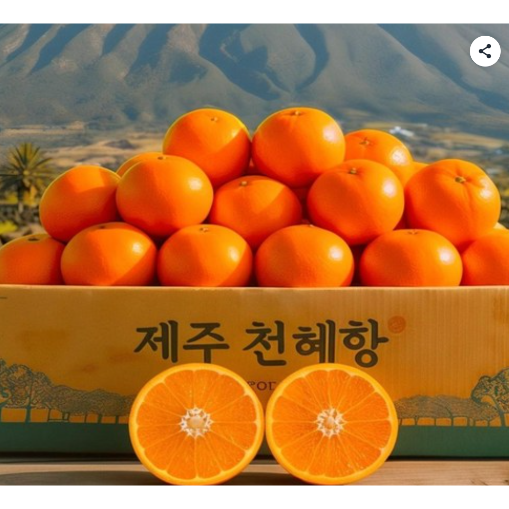 [마지막초특가] 못생겨도맛있는 고당도 제주 천혜향 21,900원