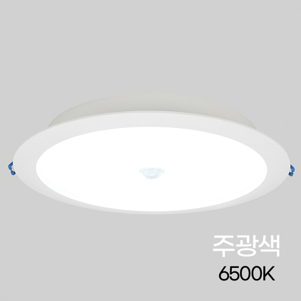 비츠온 LED 다운라이트 센서등 30w 8인치 200mm 주광색 13,790원
