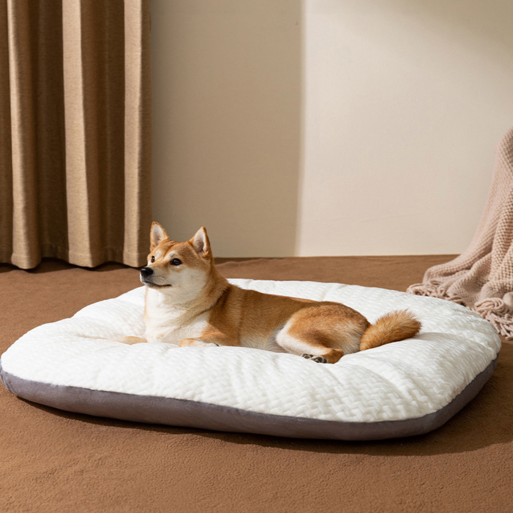 데이지마켓 반려동물 방석 무중력 18,900원