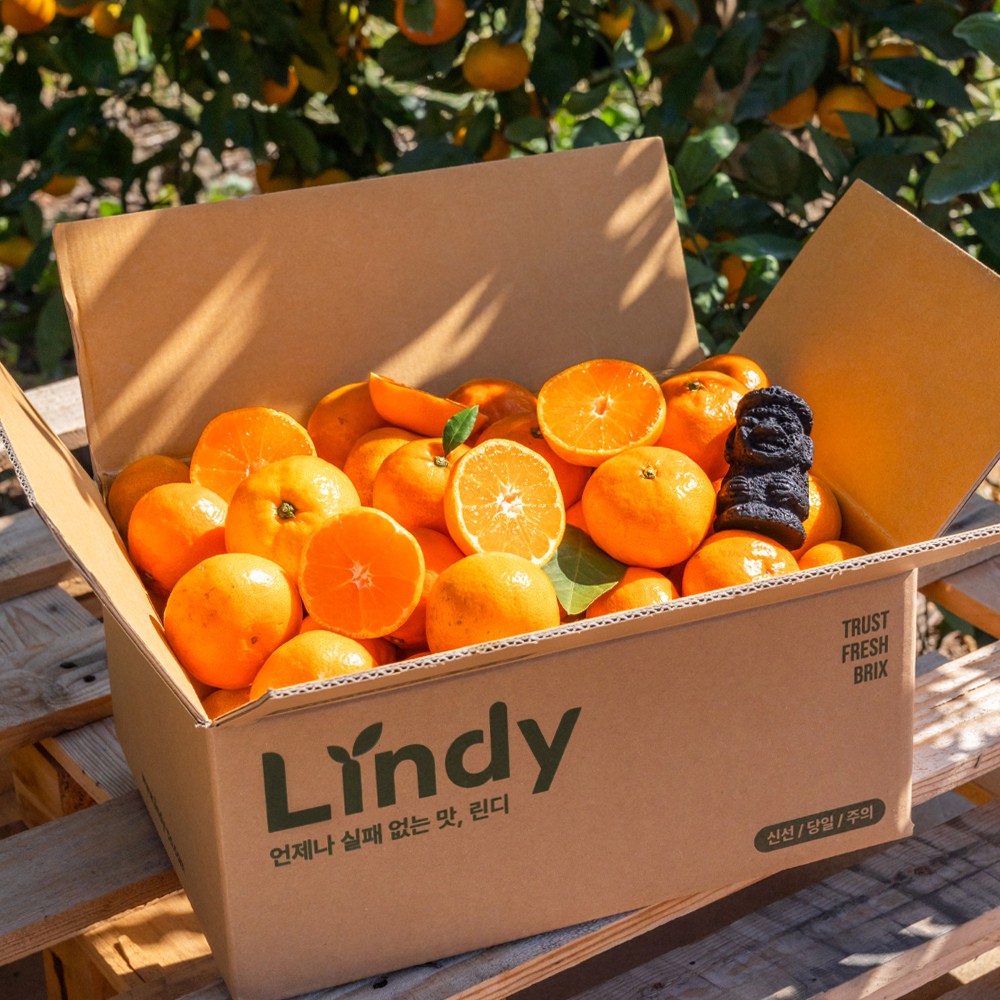 린디 제주 노지 하우스 감귤 GAP 인증 11브릭스 AI 당도선별 28,900원