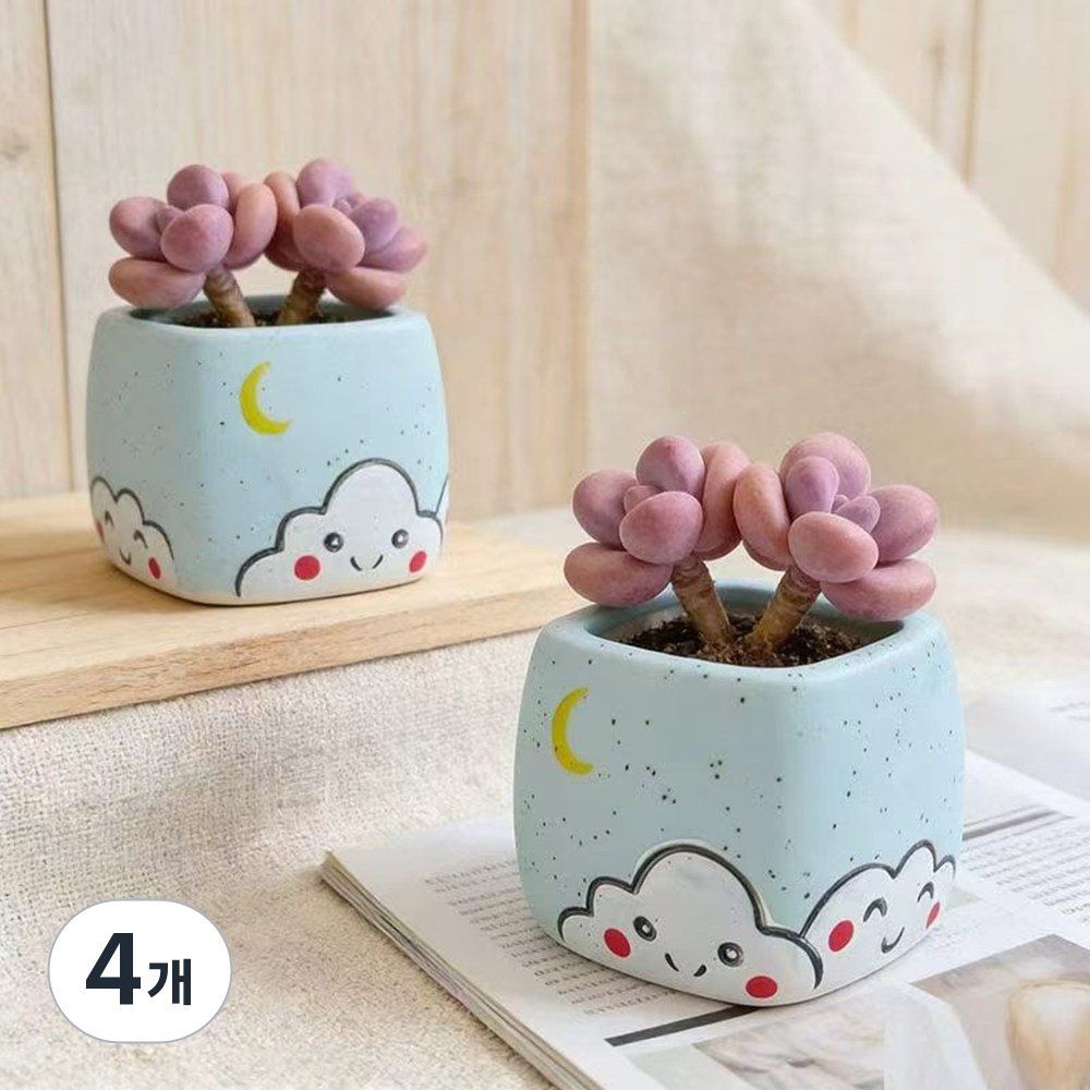 일반 미니 다육화분 간편 홈장식 소품, 4개, 혼색 25,180원