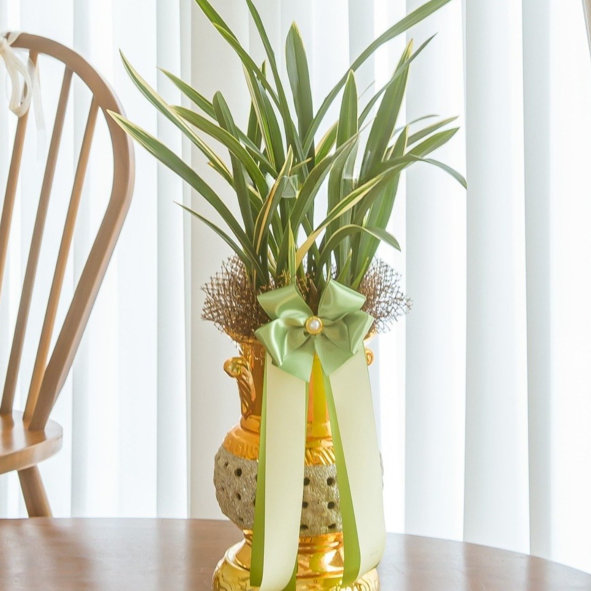 나눔플라워 전국 저가 동양란 취임 진급 승진 승진란 진급란 개업 개업란 축하 꽃배달서비스 당일꽃배달 170,000원