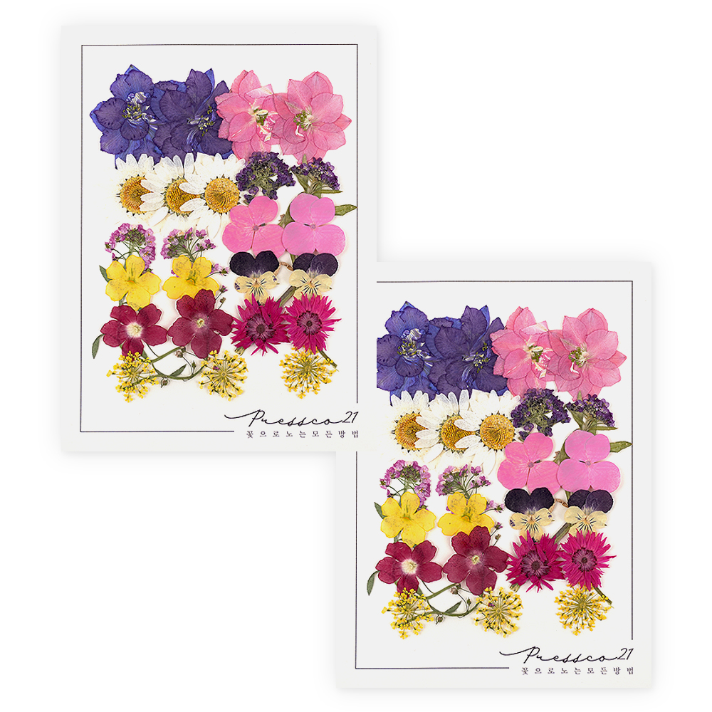 프레스코21 압화 종합팩 8,740원