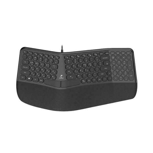 PLEOMAX PEK-N6000 인체공학 유선 키보드, PEK-N6000, 블랙, 일반형 46,500원