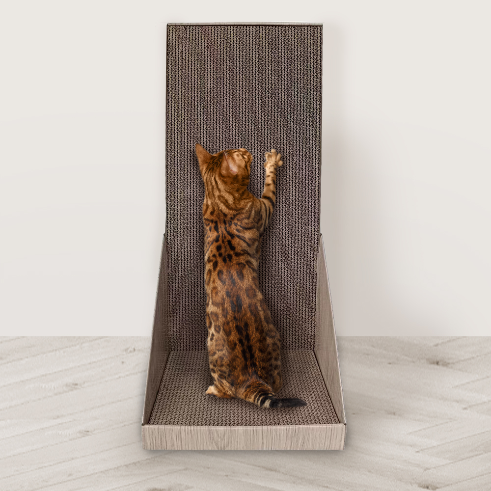 펫샵 스탠딩 벽면형 캣스크래쳐 13,710원