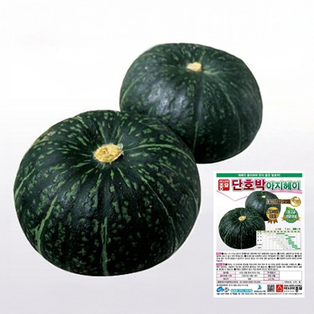 단호박씨앗 아지헤이 · 400립 · 진한 단맛 · 주말농장 텃밭재배 종자(AS) 130,000원