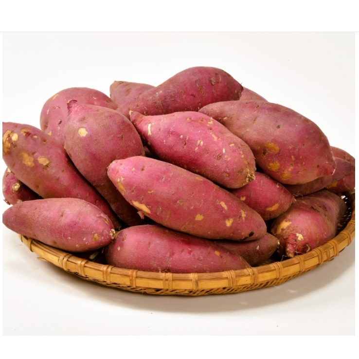 바디온케어 친환경 마사지스틱 지압 봉 림프 안마 종아리 근막 전신 등 허벅지 3,000원