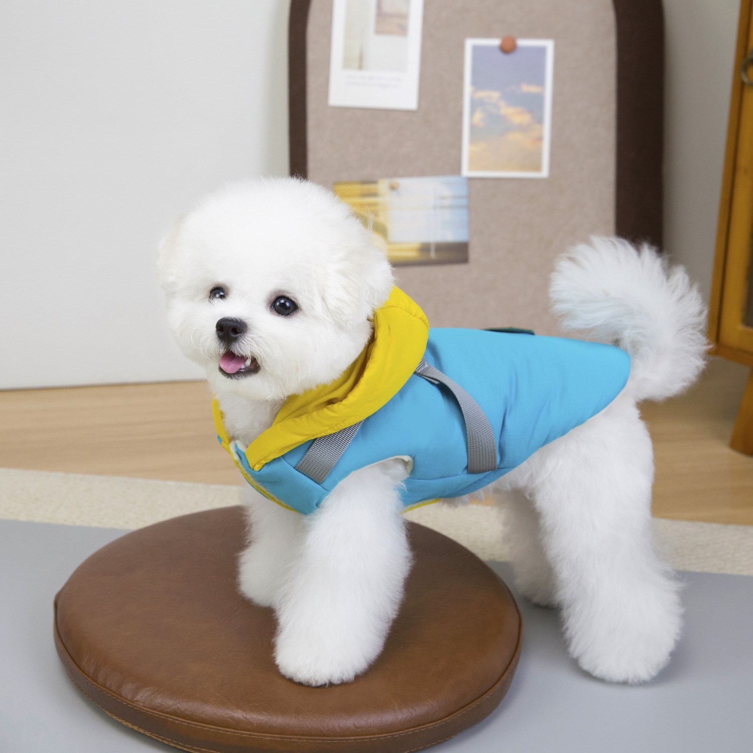 루비바 튼튼한 하네스 겨울 강아지 후드 올인원 패딩 점퍼, 1개, 스카이 블루 19,730원