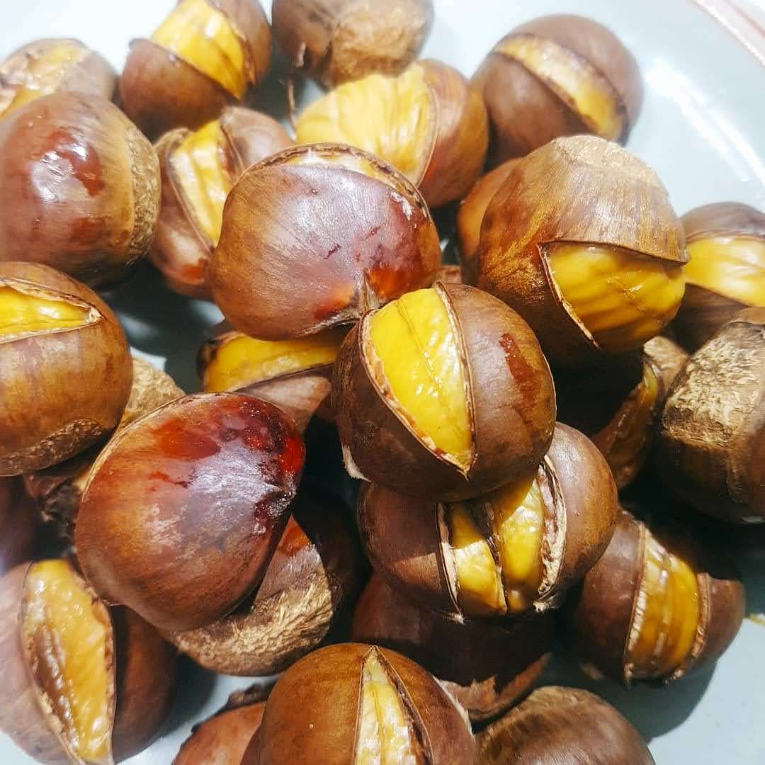 [맛나약단밤] [무료배송] 2025년 햇밤 칼집 약단밤, 생율밤, 국내산밤 "이제 집에서 구워드세요" 61,500원