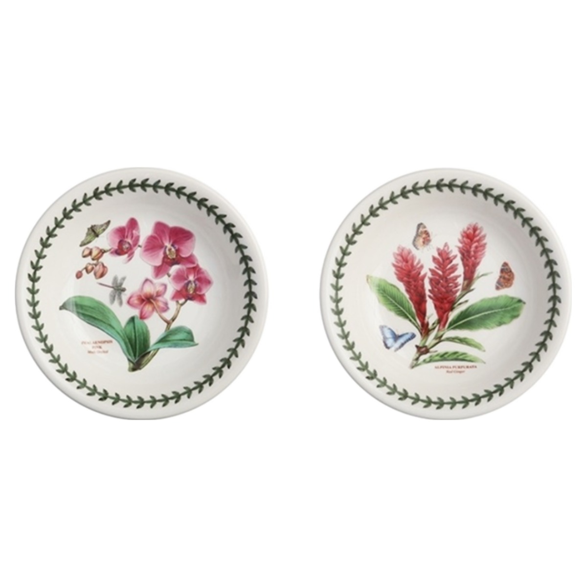 포트메리온 엑소틱보타닉가든 뉴볼 2p 28,300원