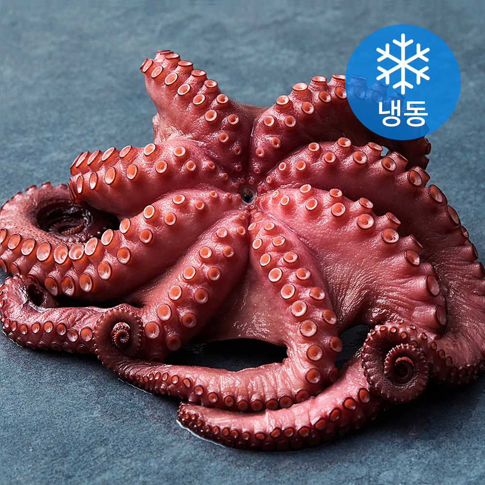 은하수산 모리타니산 데친문어 (냉동) 30,790원