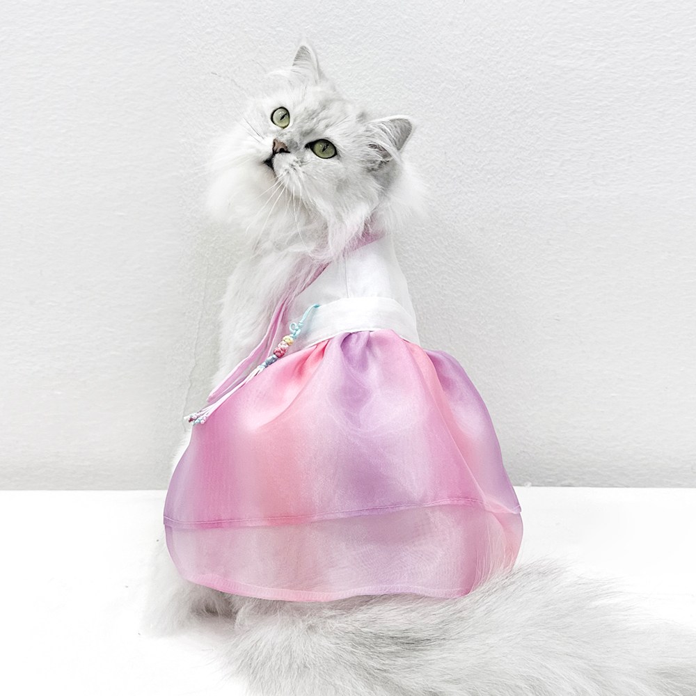 호나미네 고양이한복 강아지한복 수채화 노방 공주 한복, 1개, 핑크 22,000원