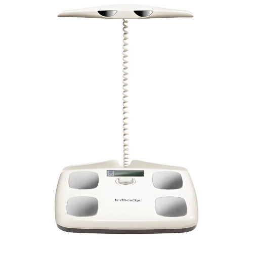 인바디 다이얼 체중계 289,000원